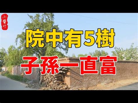 後院種什麼樹|【後院種什麼樹】後院種什麼樹藏玄機？風水大師教你打造綠意盎。